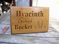 Hyacinth Bucket